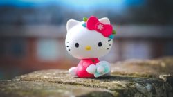 Tema BBM Hello Kitty untuk Android