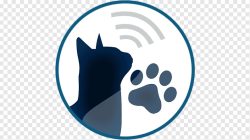 Aplikasi Translate Bahasa Kucing Memudahkan dalam Komunikasi