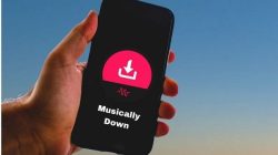 www.musicaly.down Diandalkan untuk Download Video Lebih Mudah
