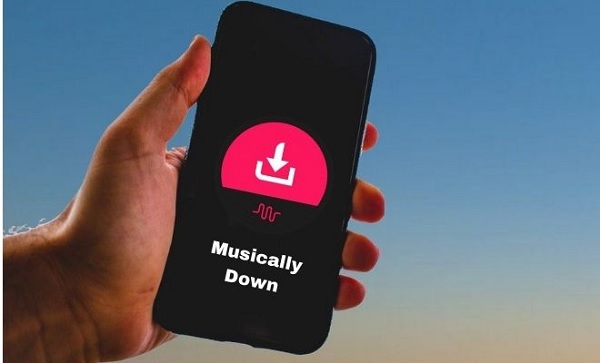 www.musicaly.down