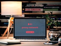 Proksi Proksi: Pengertian, Fungsi, Jenis, dan Cara Kerjanya