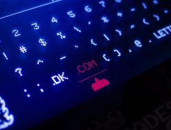 Apa Itu Domain, Fungsi, Ragam Jenis, dan Contohnya