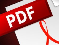 Apa Itu PDF, Ketahui Pengertian, Fungsi dan Kelebihannya