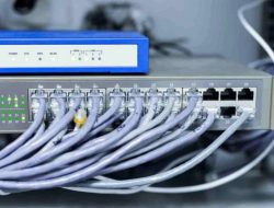 Switch Artinya: Kenali Fungsi, Jenis, dan Cara Kerjanya