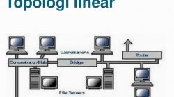 Mengenal Topologi Linear