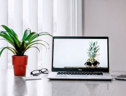 Rekomendasi Laptop 3 Jutaan Cocok untuk Pelajar dan Pekerja